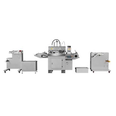 China High Speed ​​Coil Type Label Hotels WJ-320S China Chaeper PET FOIL Silk Screen Printing Machine for sale