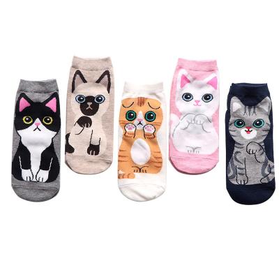 China Sporty Soft Animal Ladies Girls Women Short Socks Cat Socks Cute Funny Novelty for sale