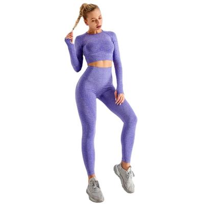 China New Style Breathable Hot Selling Push Up 2 PCS Gym Workout Leggings Set High Quality Women Seamless Leggings Sets for sale