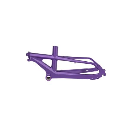 China BMX high standard bicycle frame frame bicycle frame hot sale mountain bike for sale