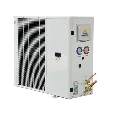 China Freezer Room Multiple and Fully Automatic Condensing Unit / Heat Exchange Condensing Refrigeration Equipment for sale