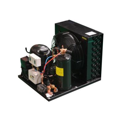 China Hotels 1-3HP 220V 50Hz Low Temperature Open Type Commercial Condensing Unit For Small Cold Room for sale