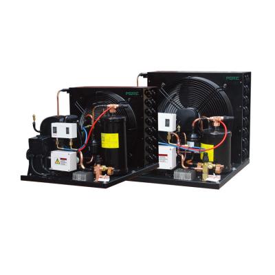 China Hotels 2.5HP 220V 50Hz Low Temperature Open Type Compressor Condensing Unit For Small Cold Room for sale