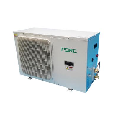 China Hotels Cold Room Inverter Refrigerator Equipment Compend Units Wall-mount Condensing Unit For Sale for sale