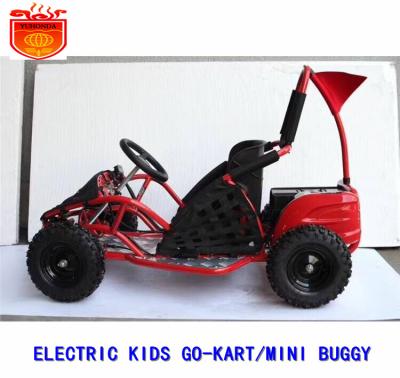 China Kids Go Kart 1000W 4 Wheeler Kids Electric Brushless Racing Go Kart Kids Buggy 6