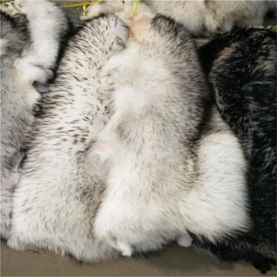 China Factory Direct Supply Eco-friendly Dyed Chinese Raccoon Fur Skin Raccoon Fur Skins Daying Fur for sale