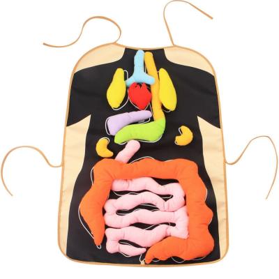 China Customized 3D Animal Stuffed Toy Intuitional Anatomy Preschool Educational Body Organs Apron Plush Toy for sale