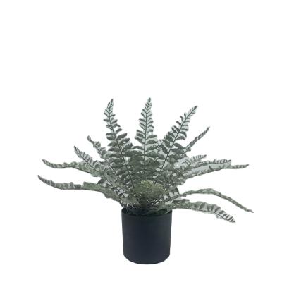 China Wedding eco-friendly artificial potted decoration green plant fern bonsai indoor office landscaping decoration for sale