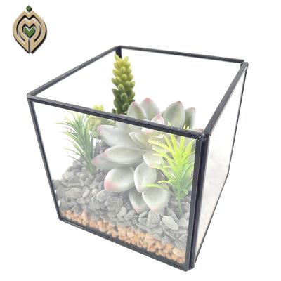 China Good Quality Hot Sale Environmental Friendly Decoration Plants Simple Indoor Plants Artificial Succulents for sale