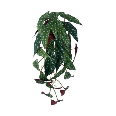 China Nordic Style Environmental Protection Plant Artificial Begonia Leaves Wholesale Decorative To Simulate Green Plants Woodland Plant Wall Art Home Decor Live for sale