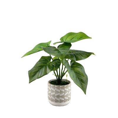 China Environmentally Friendly Artificial Green Potted Artificial Green Bonsai Decoration Potted Pineapple Desktop Garden Decor Wedding Decoration for sale