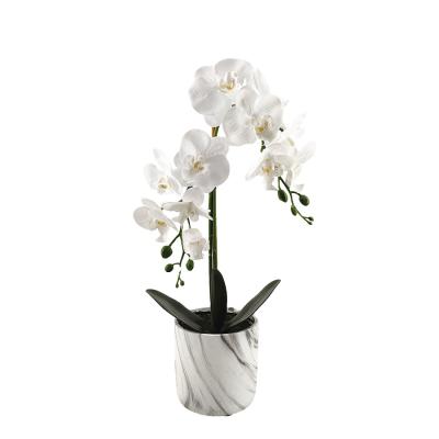 China Wholesale Eco-friendly Simulation Flower Phalaenopsis Orchid Plants Bonsai For Artificial Orchid Nordic Style Artificial Flower Head for sale