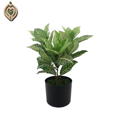 China Wholesale eco-friendly decorative natrual plastic areca& phoenix touch palm greenery artificial plant in pot for sale