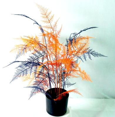 China Eco-Friendly Decorative Flower Fern Branches Leaves Preserved Asparagus Artificial Fern Plant for sale