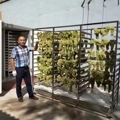 China Factory Price Commercial Fruit And Vegetable Dryer/Grape Dryer/Kiwi Drying Machine for sale