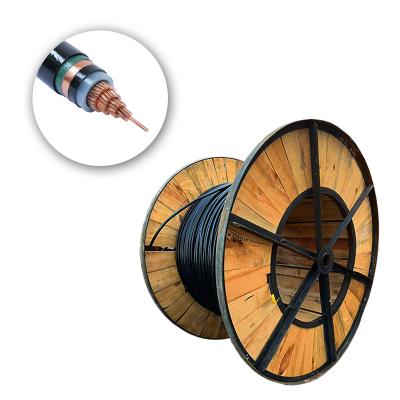 China 1 Core 1x4mm 1x6mm 1x10mm 1x50mm 240mm2 1x300mm YJV Xlpe Insulated Underground Power Copper Control Cable for sale