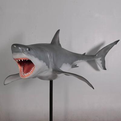 China Outdoor Decor Worldwide Customized Life Size Fiberglass Resin Shark Sculpture for sale