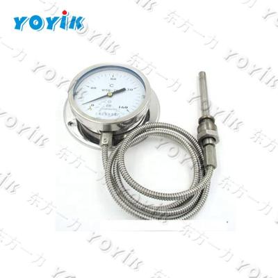 China Hot Type Filled Pressure Gauge-Mechanical System China Factory Thermometer WTZ-280 for sale