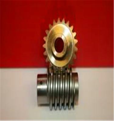 China Customized Designs Metric Bevel Gears With Single Thread Worm for sale