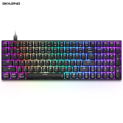 China Anti-ghosting OEM Two Color Word Transparent Black Keycap Skylong Sk96 Wired RGB Gaming Keyboard for sale