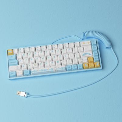 China COMPUTER AKKO 1.35m TPE+Metal Coiled Detachable Type C to USB-A Cable for Mechanical Keyboard for sale