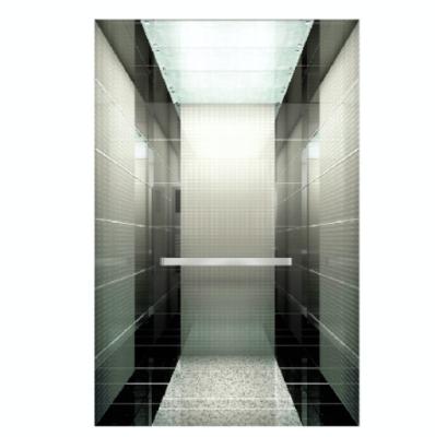 China Modern Economic Custom Design Home Use Elevator Price Residential Small Elevators for sale