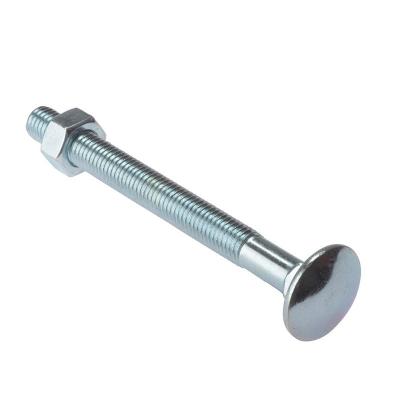 China Haiyan stainless steel high carbon steel m8 1 square neck 25 large toggle mushroom head bolts for sale