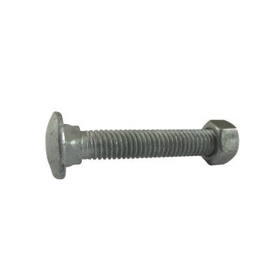 China Haiyan Stainless Steel Carbon Steel Grade 2 Grade 5 307a 12 Inch Bolts And Nuts End Plain for sale