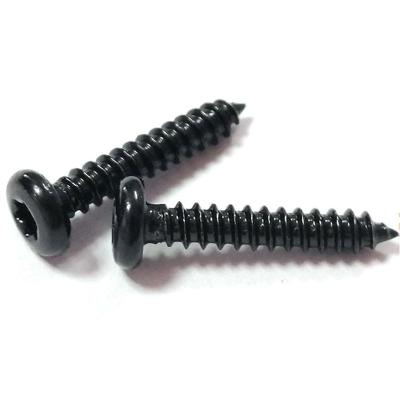 China DIN7981 RV Pta Flat Tapping Screws Long To Ground For Plastic For Steel Beam for sale