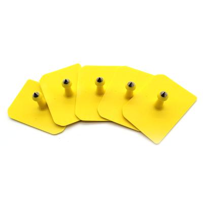 China Animal Management Manufacturers Recommend Rectangular TPU Polymer Ear Tags for sale