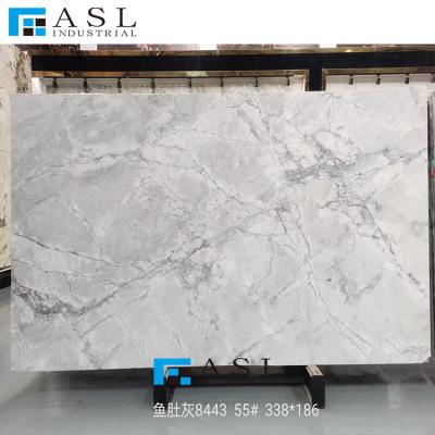 China Modern Natural White Quartzite Countertops With Big Board And Brazilian Fish Mouth Gray Quartz Flooring for sale