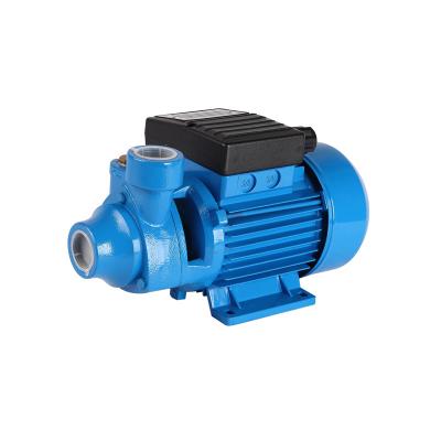 China 220V Drinking Water Treatment Electric Copper Wire Motor Drive Water Pump Household Peripheral Pump for sale