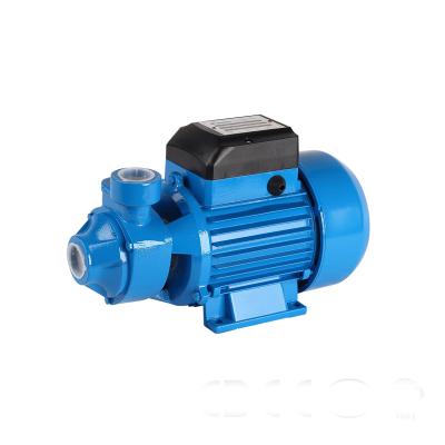 China Developing World Water Solutions Domestic Peripheral Pump STRATEGY 60 Water Pumps For Water Supply for sale