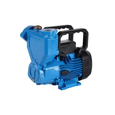 China New Design Water Solutions 0.5HP Peripheral Pump High Quality 220V Water Pumps From Developing World With Handle for sale