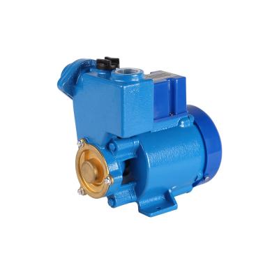 China Drinking Water Treatment Small Clean Water 0.3HP Electric Pump Self--Prming Peripheral Pumps for sale