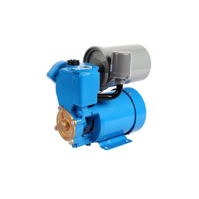 China Developing world automatic self priming water solutions pumps peripheral vortex water pump with pressure tank for sale