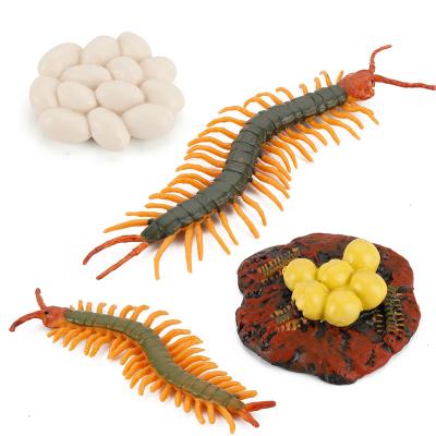 China The Centipede Toys Science Figures Plastic Early Educational Toys Growth Life Cycle Set 16.5*13.5*3.5 for sale