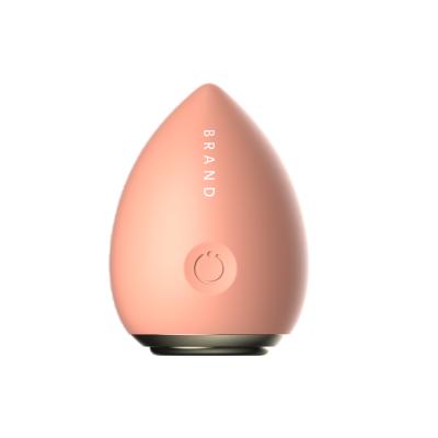 China Levetop DZ04B Electronics Face Lift Make Up Remover Egg Device Make Up Removal Face Massager for sale