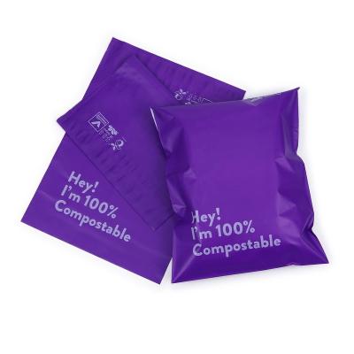 China Strong Adhesive 6x9 Fully Degradable Compostable Purple Poly Mailer Bags 6x9 for sale