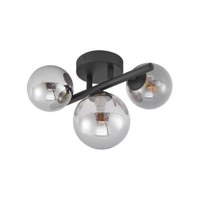 China Modern Manufacturer Direct Selling Creative Globe Glass Shade Indoor Lighting Black Wall Lamp for sale