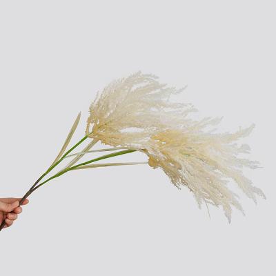 China Europe Simulation Hair Planting Plastic Flower Reed Photo Studio Shooting Props 104cm 2 Head Simulation for sale