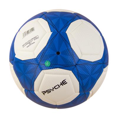 China Durable Made In China Portable Wear Resistant Modern Special Training Ball PU Game Soccer Ball for sale