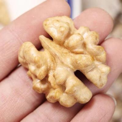 China Nutritious Walnut Organic Raw Unsalted Premium Nuts Crispy Taste Healthy And Safe for sale