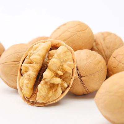 China Fresh Dry Dry Shell Organic Raw Walnut, Walnut Shangluo Paper Skin Walnut will add wholesale in 2021 AA, a grade 55%-68% walnut for sale