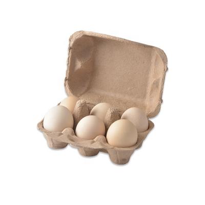 China Eco - Friendly Recyclable Paper Pulp Colored Egg Carton Moulds6 Paper Mold For Organic Eggs for sale