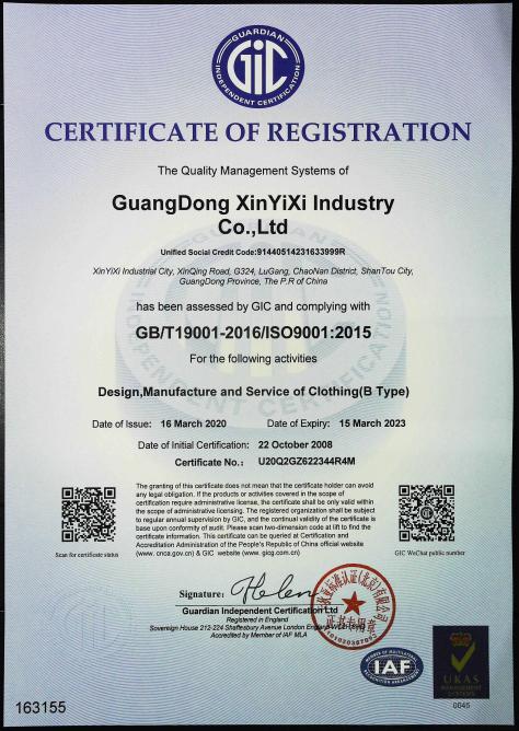 ISO9001 - Guangdong Xinyixi Industrial Co., Ltd.