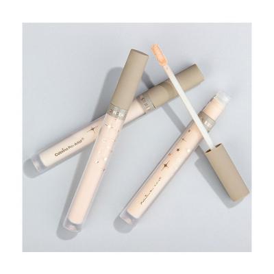 China Best Selling CRAYON CORRECTEUR Private Label New Design Full Cover Liquid Concealer for sale