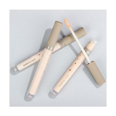 China Concealer China Manufacturer Private Label Makeup Cream Concealer Pencil For Dark Skin for sale