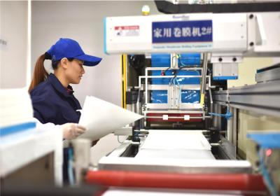 Chine NSF/ANSI 58 Membrane certifiée 800 gallons par jour et compatible avec la plupart des systèmes RO standard à vendre