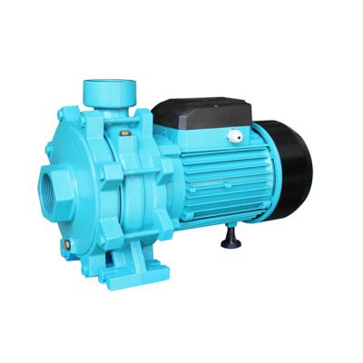 China High Efficiency Automatic Centrifugal Pumps /Multistage Water Pumps for sale